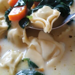 tortellini soup with spinach and milk