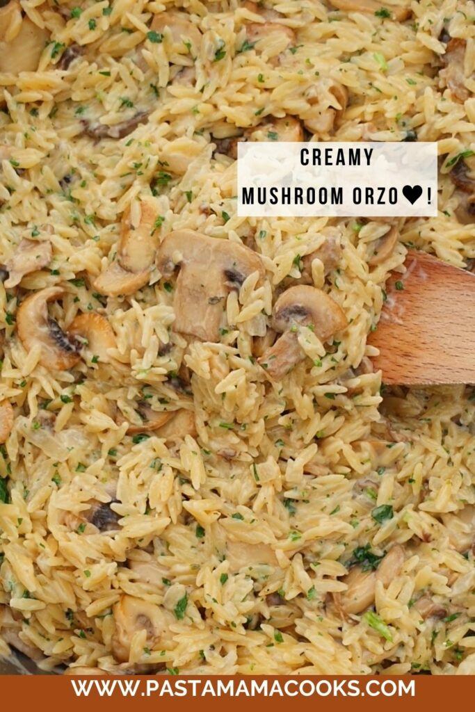 creamy-mushroom-orzo-recipe